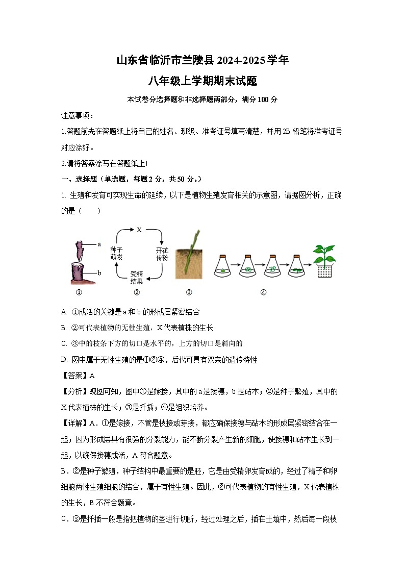 山东省临沂市兰陵县2024-2025学年八年级上学期期末生物试卷（解析版）第1页