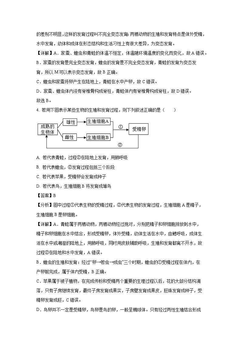 山东省临沂市兰陵县2024-2025学年八年级上学期期末生物试卷（解析版）第3页