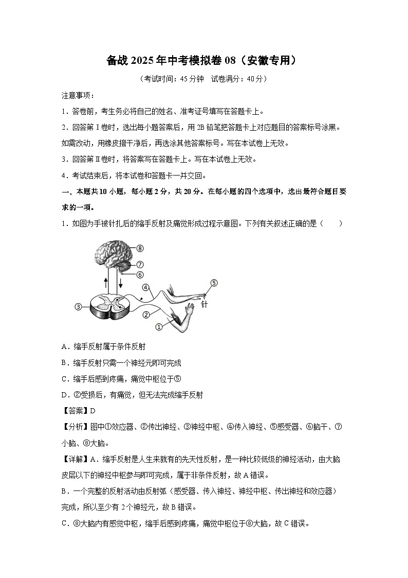 备战2025年中考模拟卷08（安徽专用）生物试卷（解析版）第1页