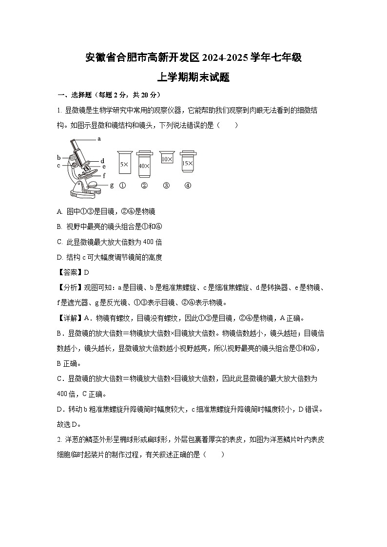 安徽省合肥市高新开发区2024-2025学年七年级上学期期末生物试卷（解析版）第1页