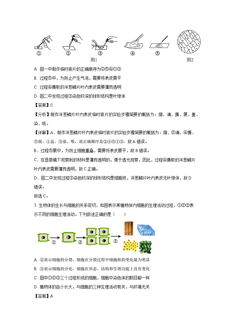 安徽省合肥市高新开发区2024-2025学年七年级上学期期末生物试卷（解析版）第2页