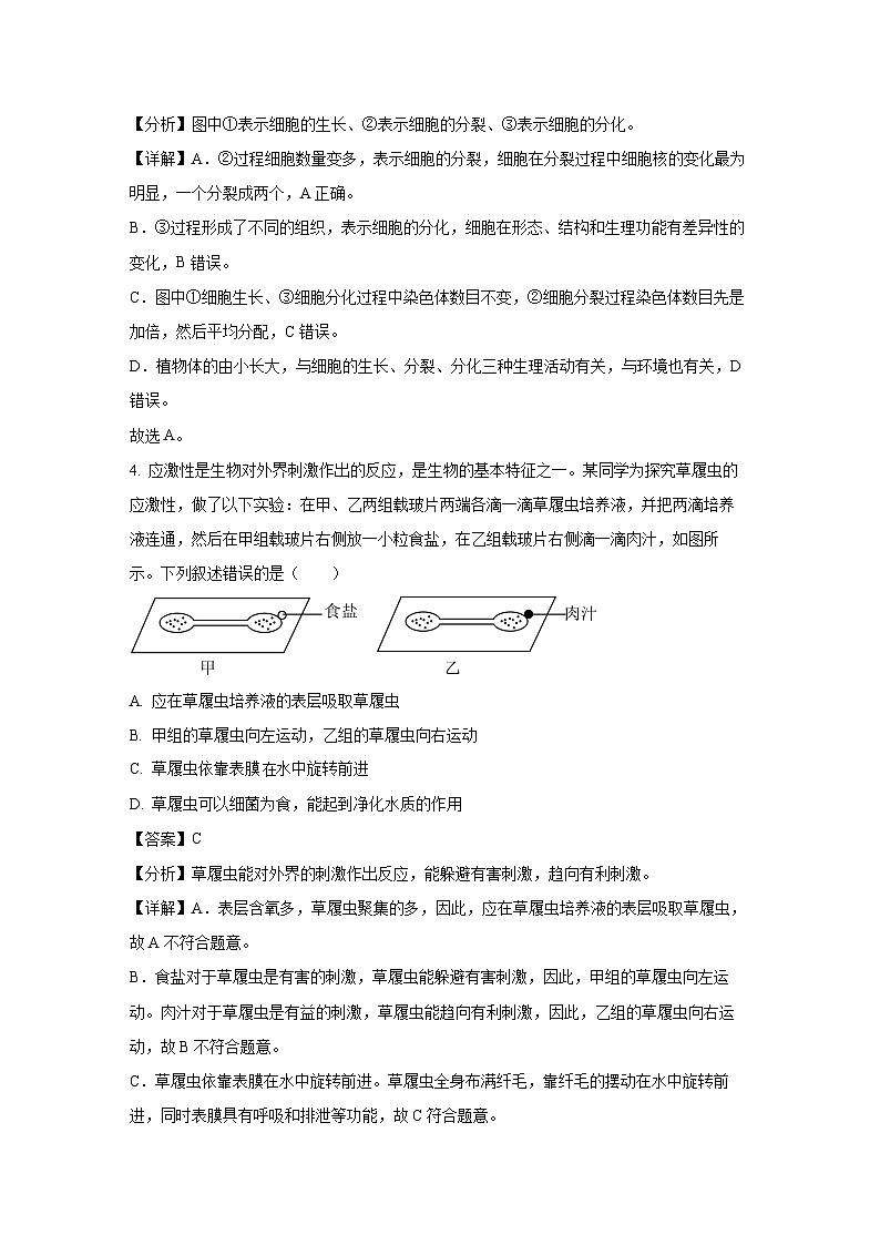 安徽省合肥市高新开发区2024-2025学年七年级上学期期末生物试卷（解析版）第3页
