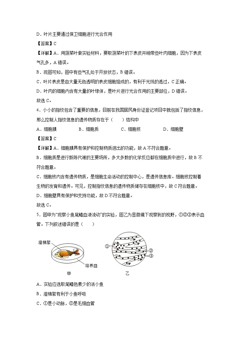 备战2025年中考模拟卷08（徐州专用）生物试卷（解析版）第3页