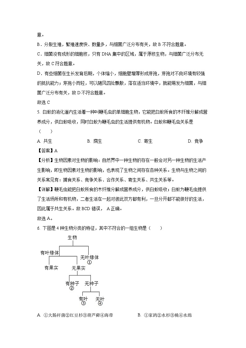 安徽省亳州市蒙城县2024-2025学年八年级上学期期末生物试卷（解析版）第3页