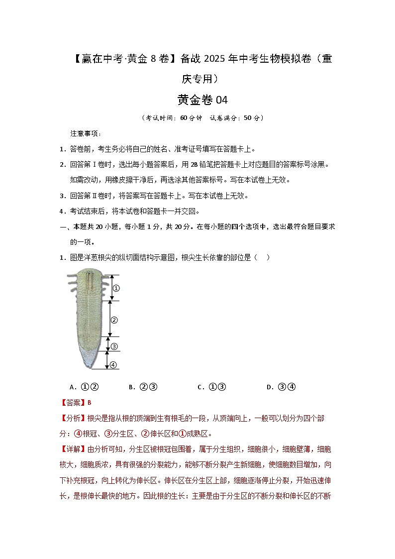 备战2025年中考模拟卷04（重庆专用）生物试卷（解析版）第1页