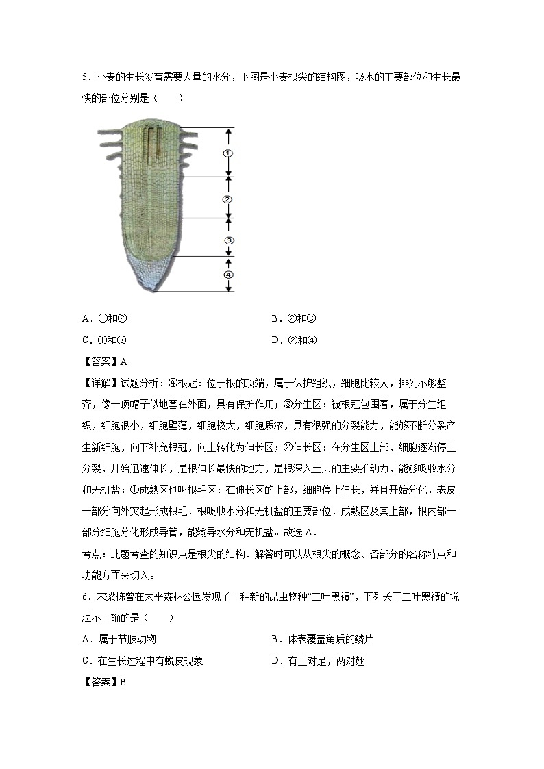 备战2025年中考模拟卷02（江苏泰州专用）生物试卷（解析版）第3页