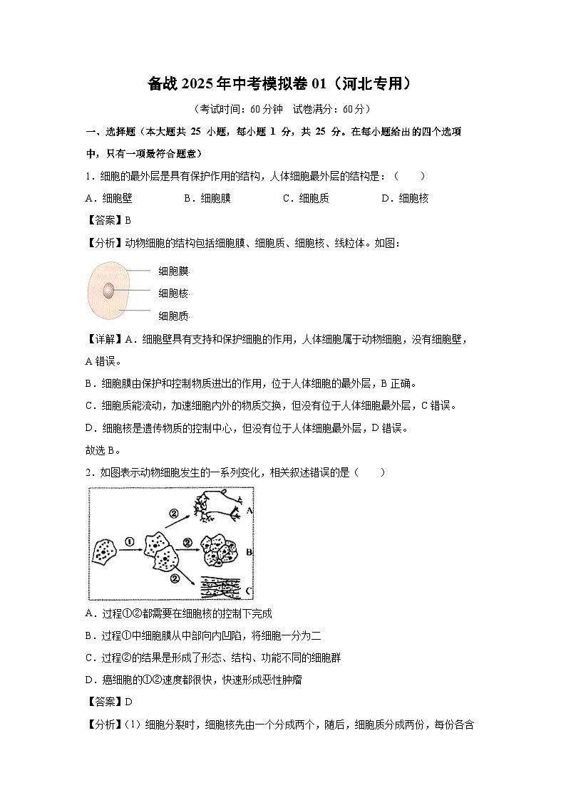 备战2025年中考模拟卷01（河北专用）生物试卷（解析版）第1页