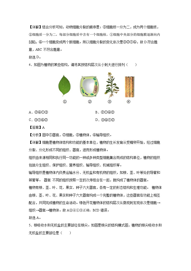 2025年中考第一次模拟考试（成都卷）生物试卷（解析版）第3页