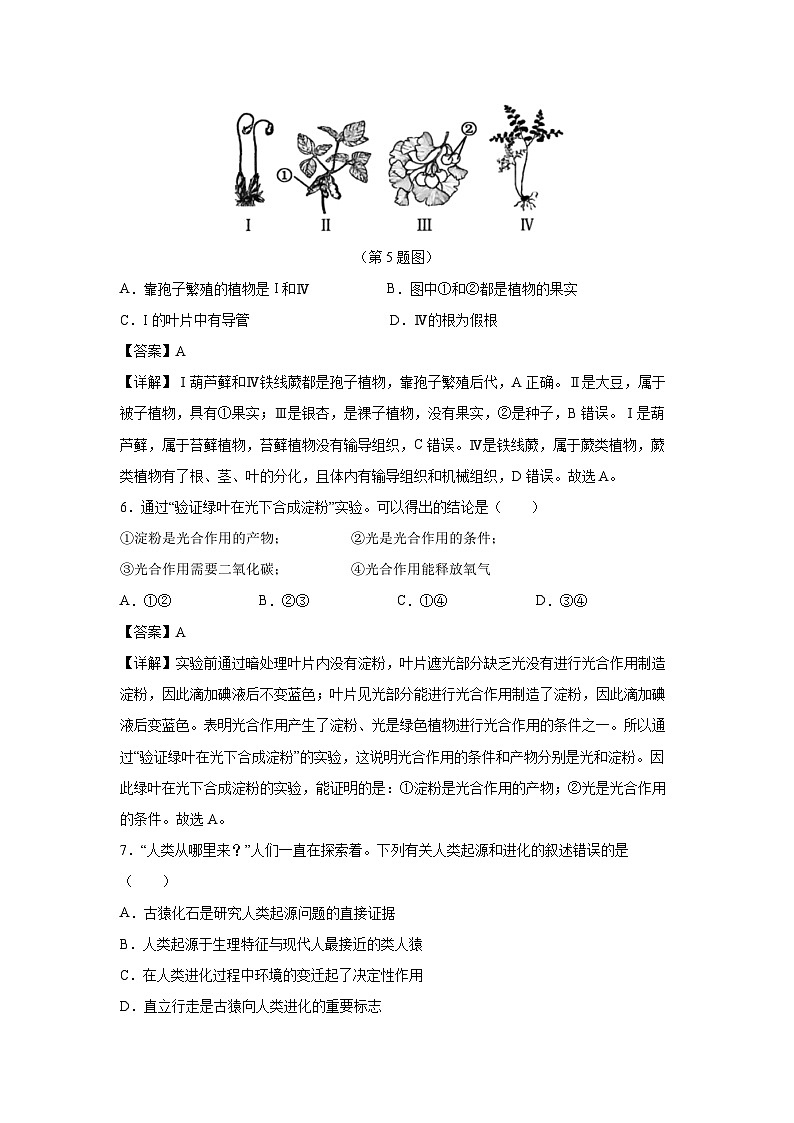 2025年中考第一次模拟考试（吉林省卷）生物试卷（解析版）第3页