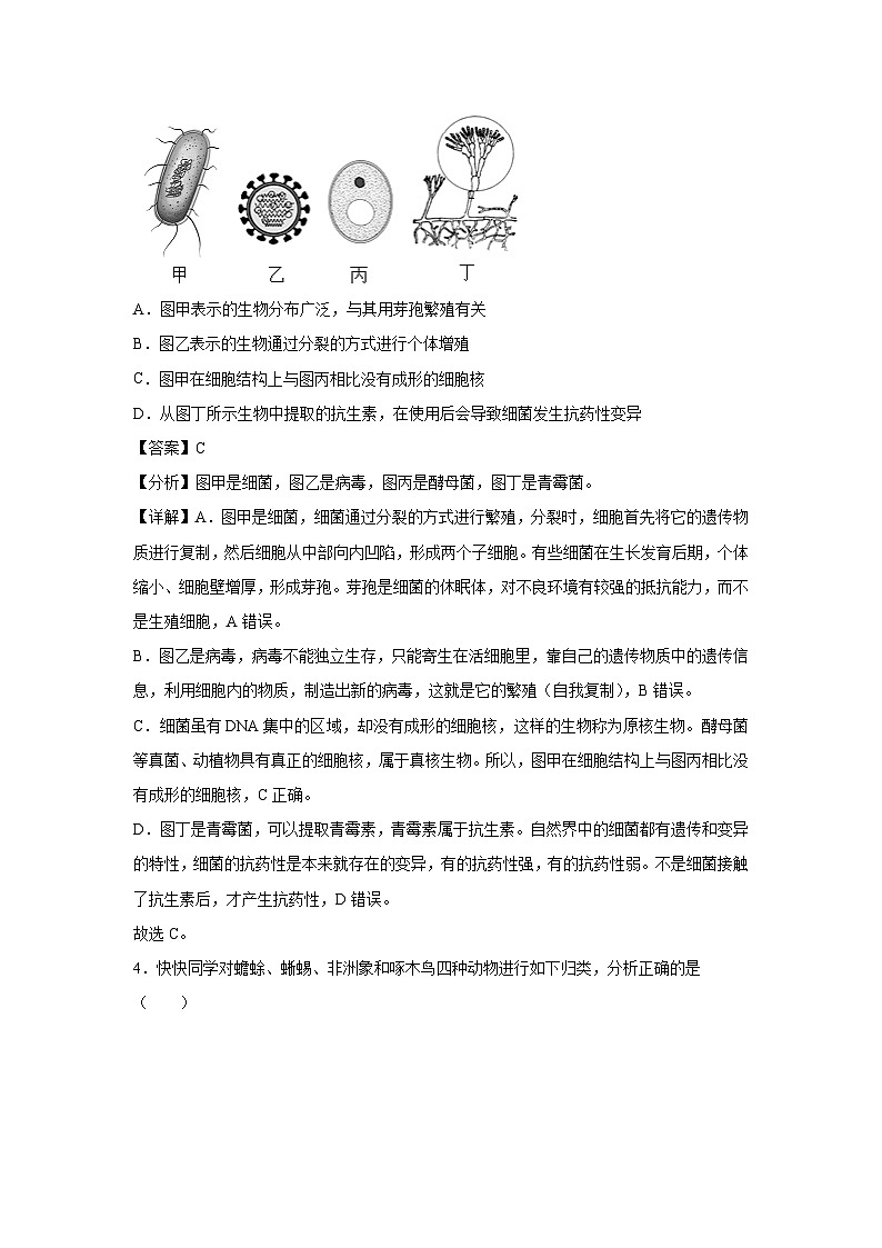2025年中考第一次模拟考试（济南卷）生物试卷（解析版）第3页