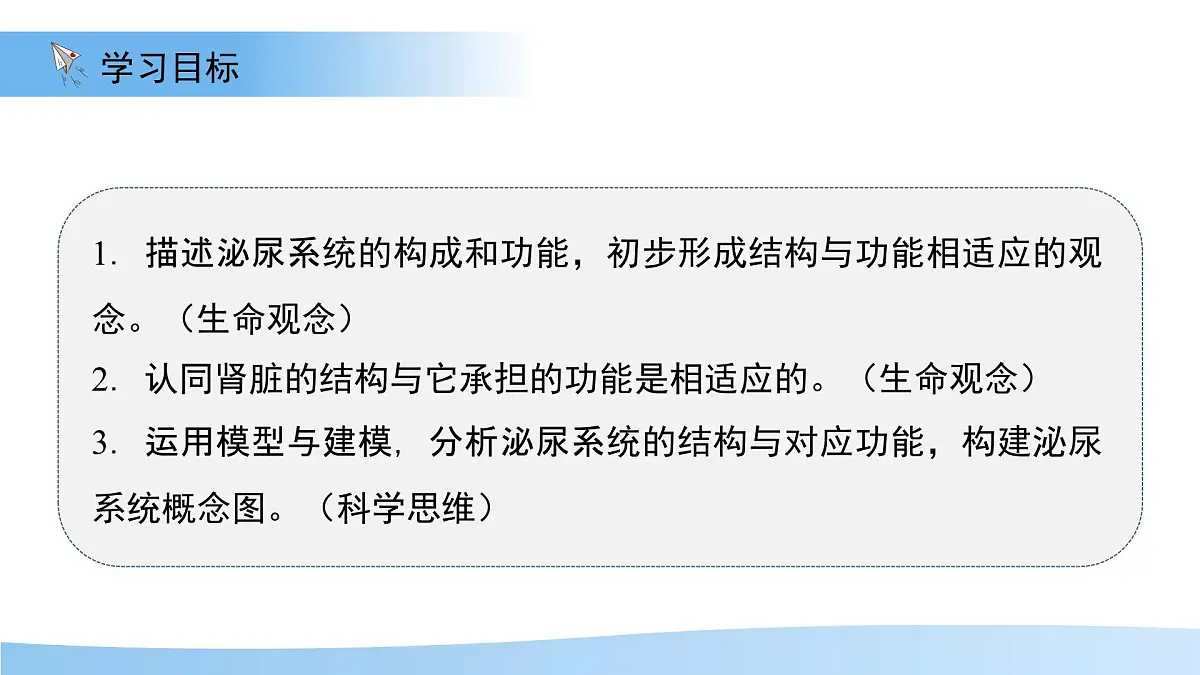 4.1泌尿系统的组成 课件 生物冀少版（2024）七年级下册第三单元第四章第2页