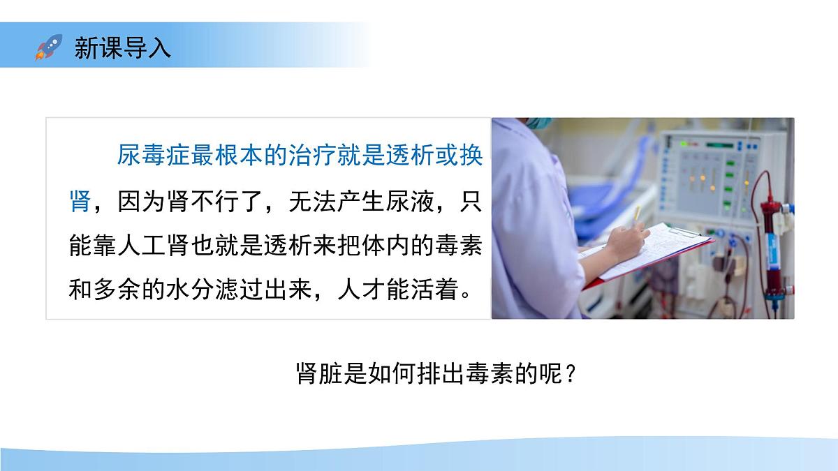 4.2 尿液的形成和排出 课件 生物冀少版（2024）七年级下册第三单元第四章第3页