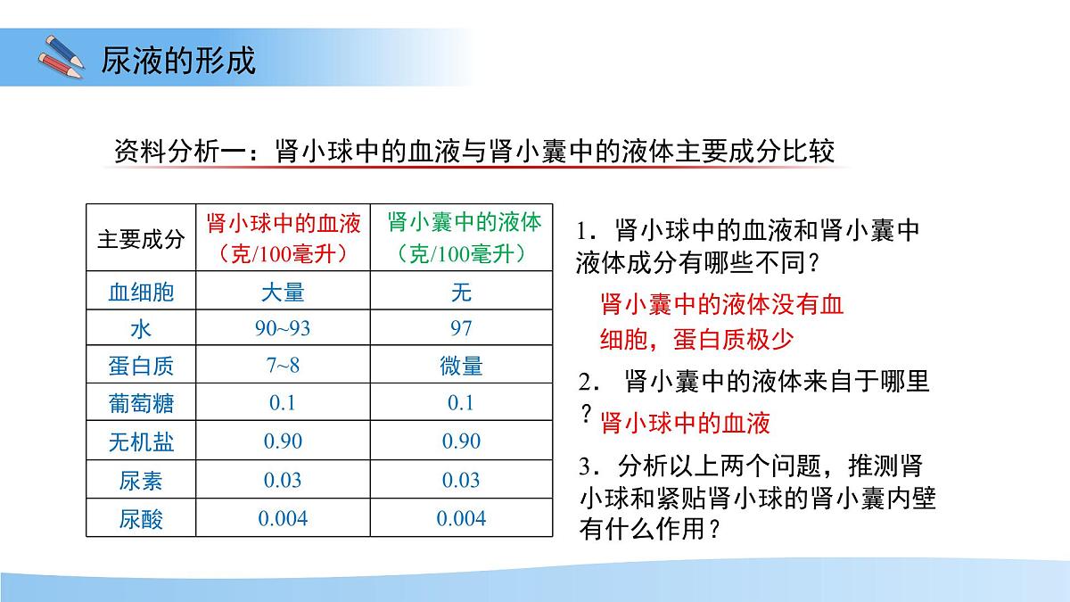 4.2 尿液的形成和排出 课件 生物冀少版（2024）七年级下册第三单元第四章第5页