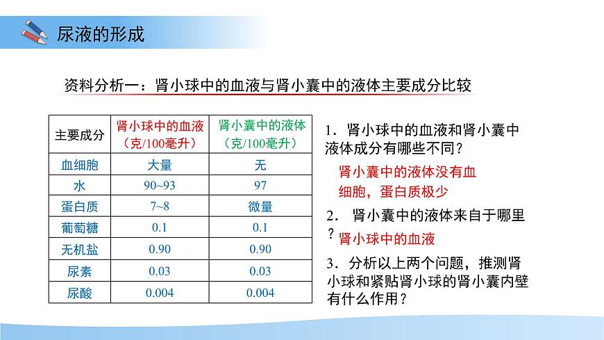 4.2 尿液的形成和排出 课件 生物冀少版（2024）七年级下册第三单元第四章第5页