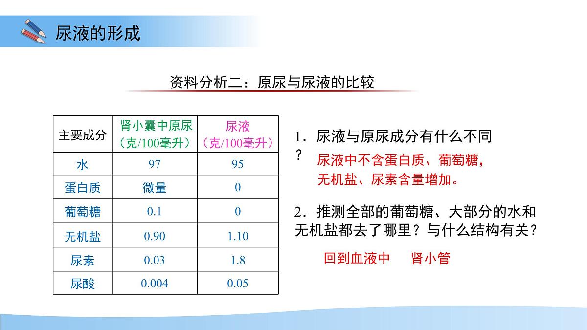 4.2 尿液的形成和排出 课件 生物冀少版（2024）七年级下册第三单元第四章第7页