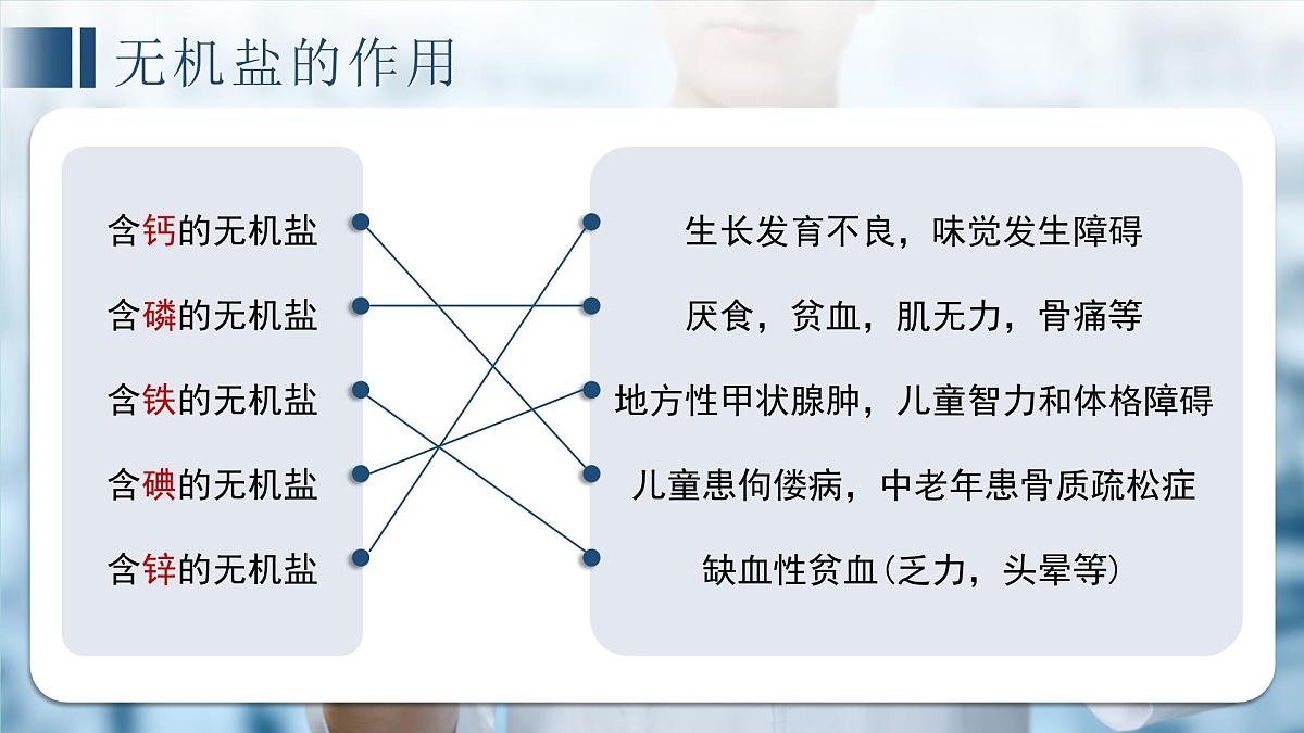 生物七年级下册期中复习 课件 生物冀少版（2024）七年级下册第5页