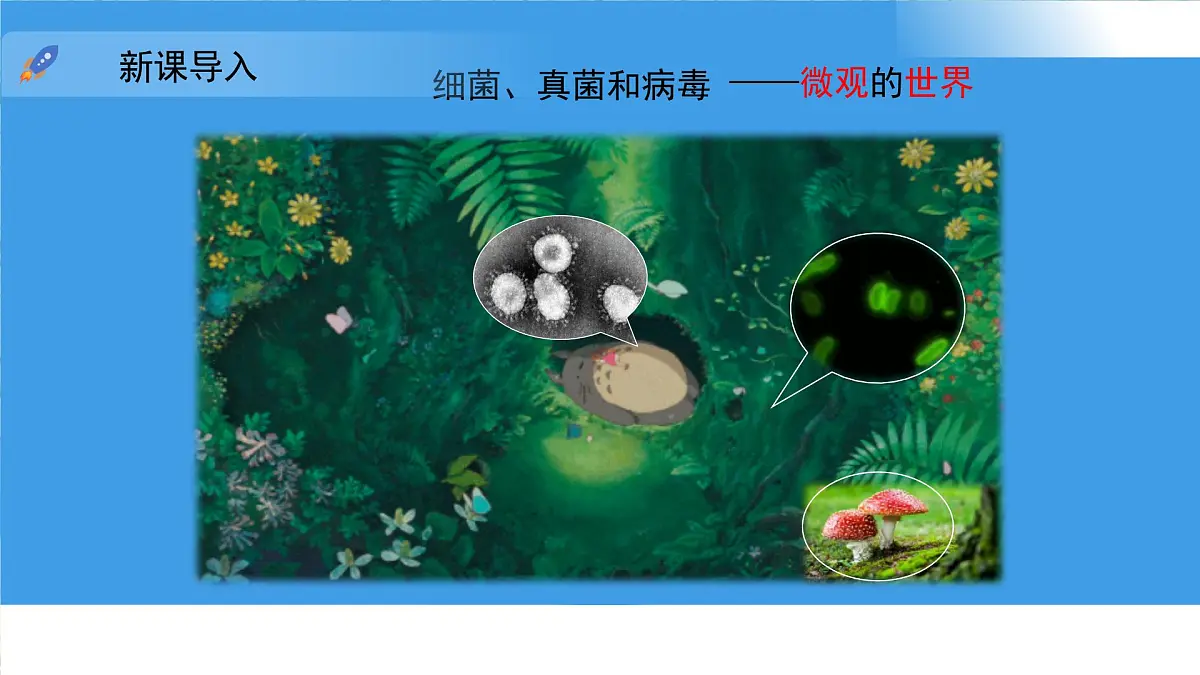 3.3.1 微生物在环境中的分布 课件 生物鲁科版（2024）六年级下册第4页