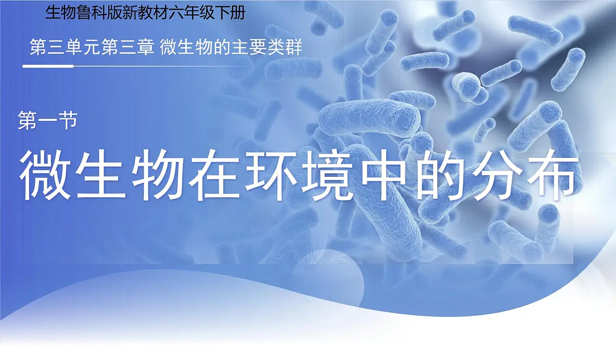 3.3.1 微生物在环境中的分布 PPT 生物鲁科版（2024）六年级下册第1页