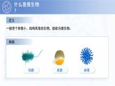 3.3.1 微生物在環(huán)境中的分布 PPT 生物魯科版（2024）六年級(jí)下冊(cè)