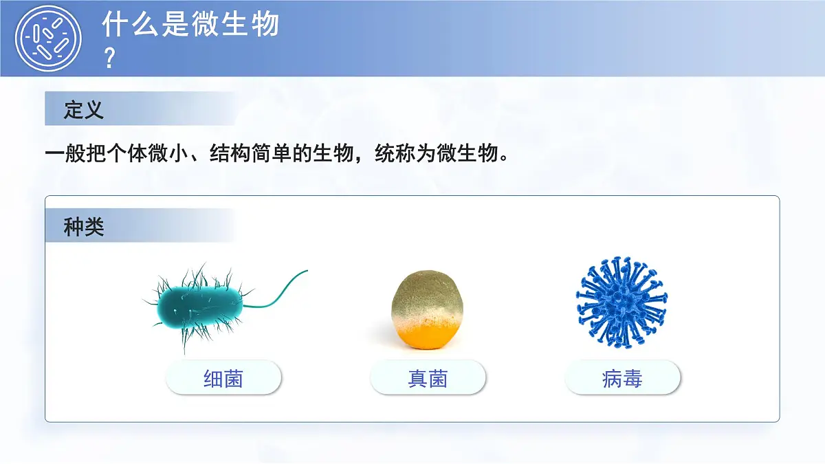 3.3.1 微生物在环境中的分布 PPT 生物鲁科版（2024）六年级下册第4页