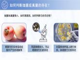 3.3.1 微生物在環(huán)境中的分布 PPT 生物魯科版（2024）六年級(jí)下冊(cè)
