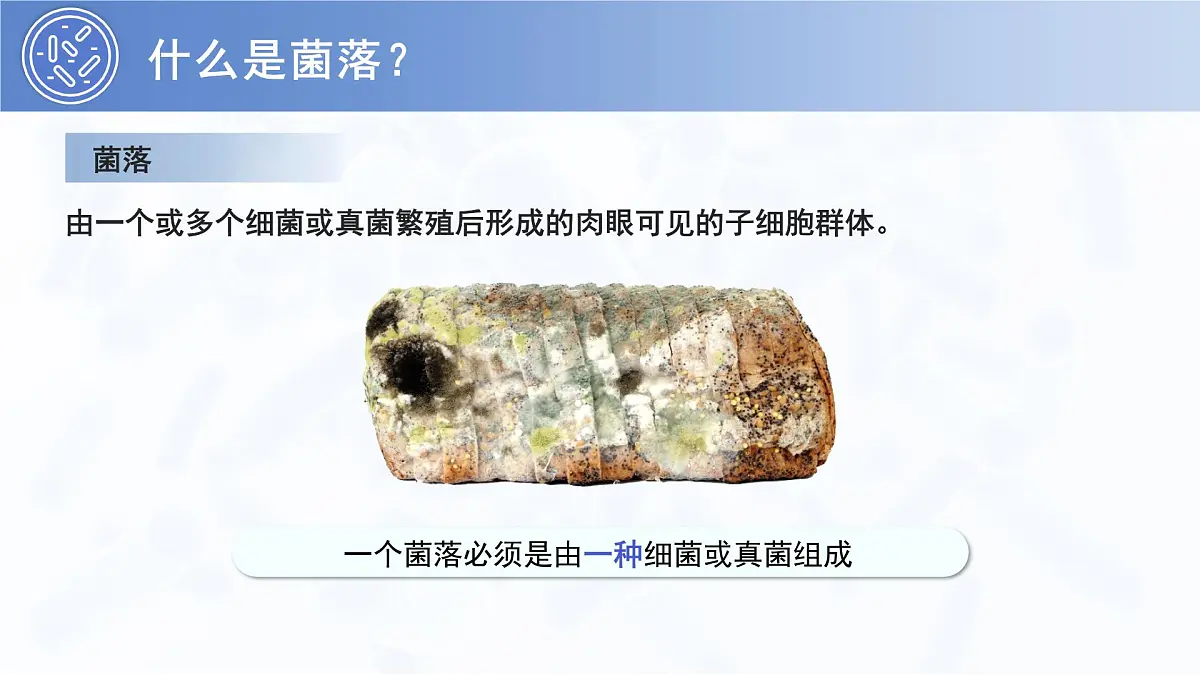 3.3.1 微生物在环境中的分布 PPT 生物鲁科版（2024）六年级下册第6页