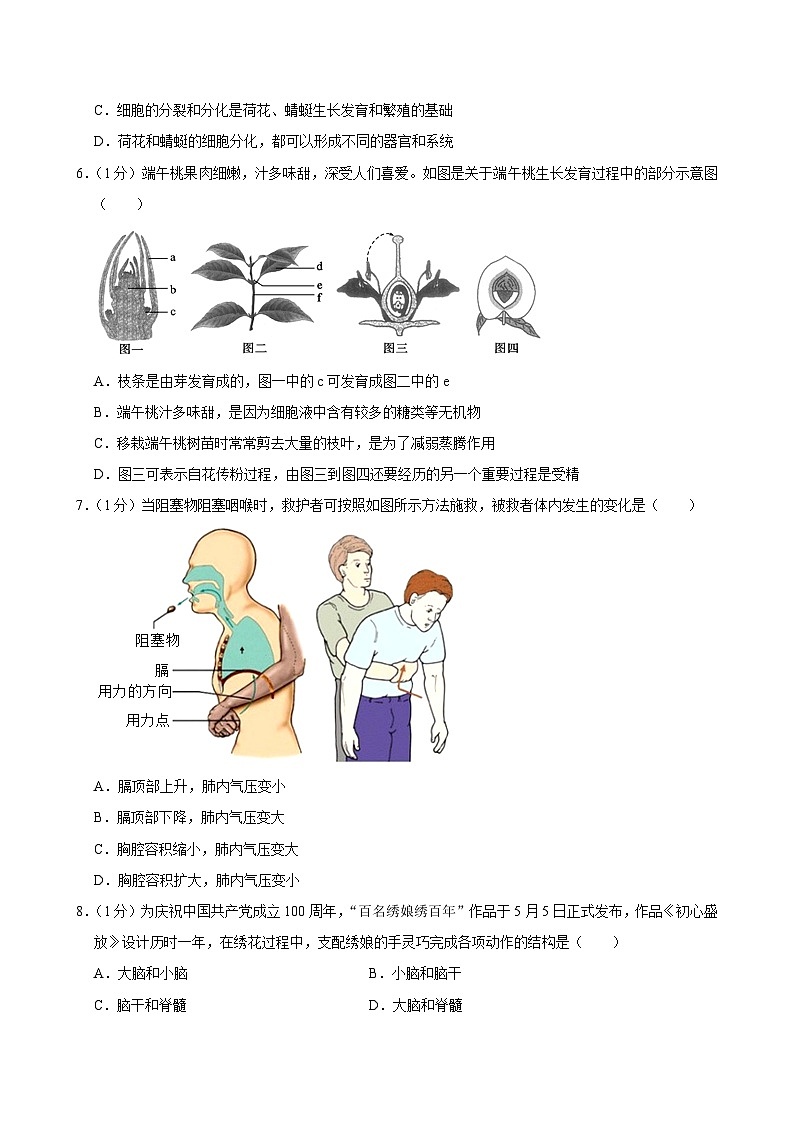 河南省新乡市原阳县2023-2024学年八年级下学期期末考试生物试卷第2页