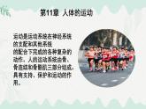 4.11.1 人體的骨骼（課件）2025學年七年級生物下冊北師大版
