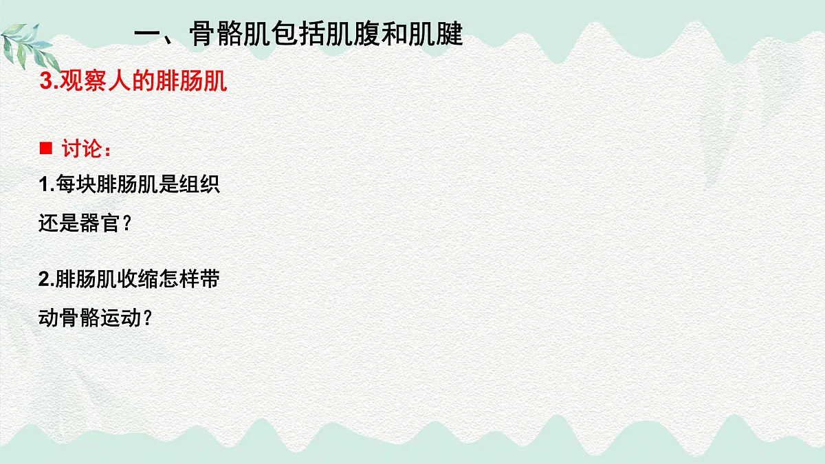 4.11.2 人体的骨骼肌（课件）2025学年七年级生物下册北师大版第6页
