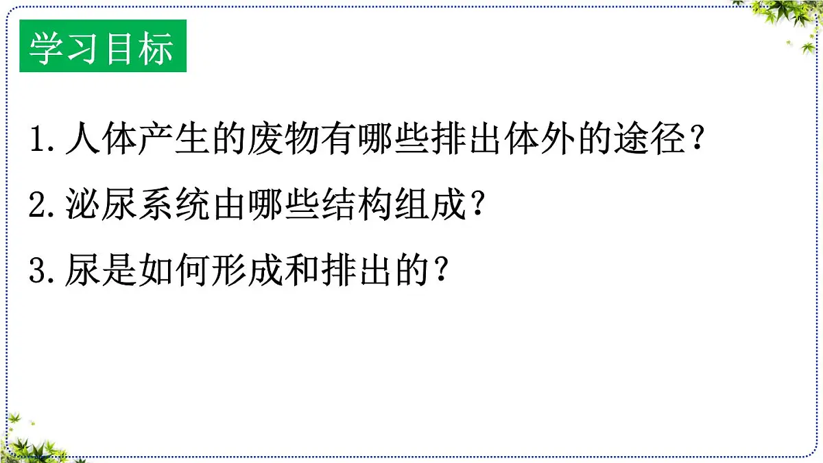 4.5 人体内废物的排出 课件 2025学年人教版七年级生物下册第5页