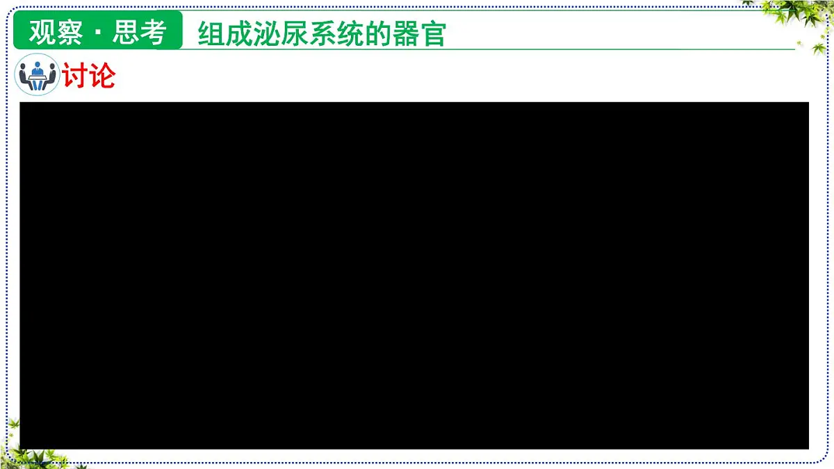 4.5 人体内废物的排出 课件 2025学年人教版七年级生物下册第8页