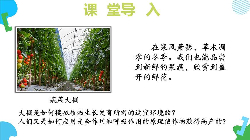 4.11.3 光合作用和呼吸作用原理的应用（教学课件）2025学年七年级生物下册苏教版第7页