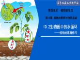 10.2 生物圈中的水循環(huán)（課件）2025學(xué)年七年級(jí)生物下冊(cè)優(yōu)質(zhì)教學(xué)課件蘇教版