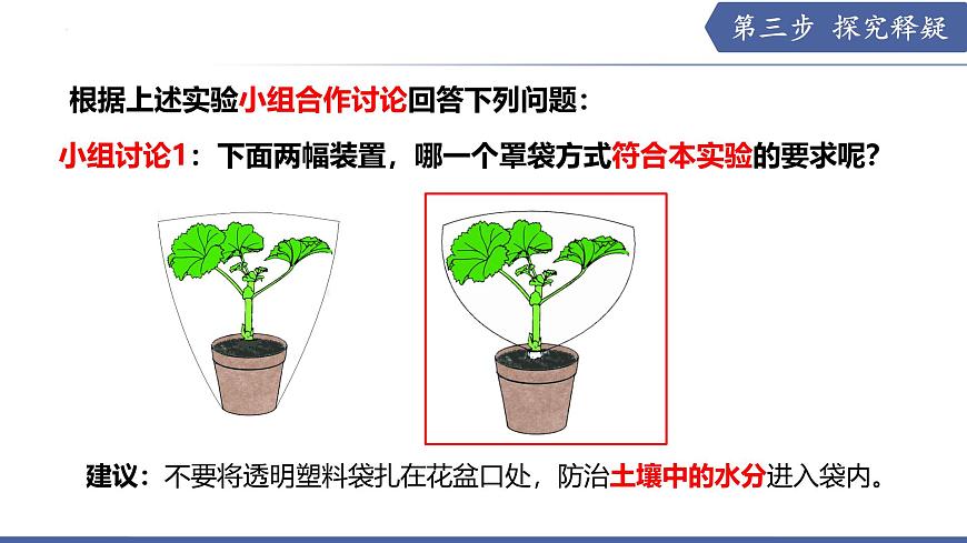 10.2 生物圈中的水循环（课件）2025学年七年级生物下册优质教学课件苏教版第6页