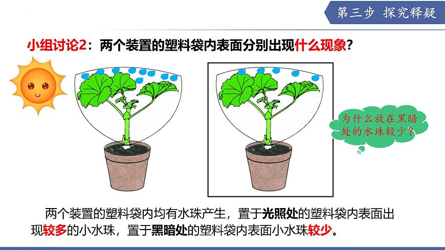 10.2 生物圈中的水循环（课件）2025学年七年级生物下册优质教学课件苏教版第7页