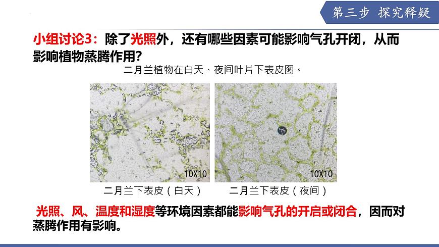 10.2 生物圈中的水循环（课件）2025学年七年级生物下册优质教学课件苏教版第8页