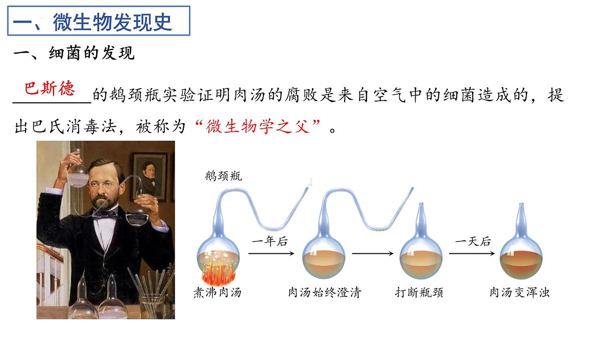 2025年中考一轮复习：微生物专题复习课件第6页