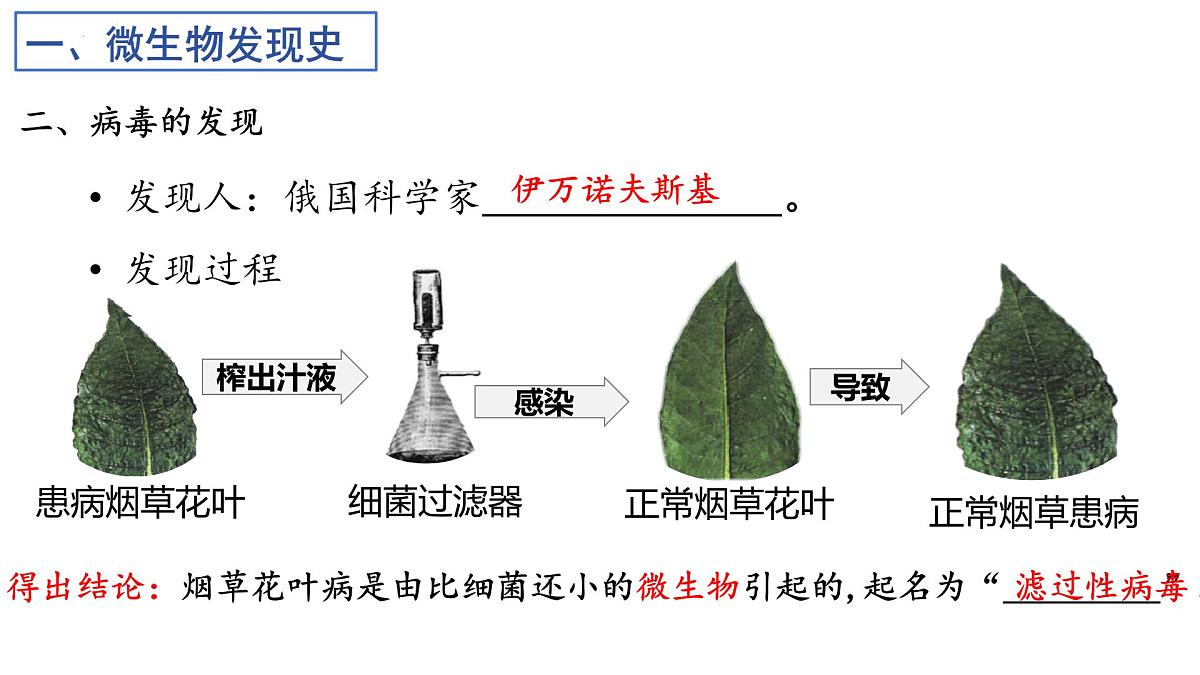 2025年中考一轮复习：微生物专题复习课件第7页