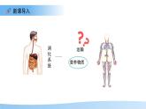 3.2.1.1 血液循環(huán)系統(tǒng)的組成——血液 課件 生物冀少版（2024）七年級下冊（2024）第三單元第二章