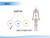 3.2.1.1 血液循環(huán)系統(tǒng)的組成——血液 課件 生物冀少版（2024）七年級下冊（2024）第三單元第二章