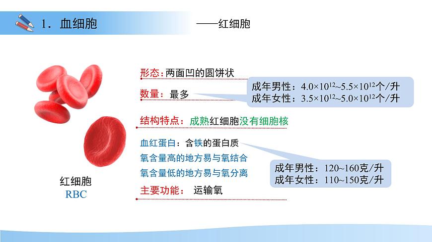 3.2.1.1 血液循环系统的组成——血液 课件 生物冀少版（2024）七年级下册（2024）第三单元第二章第6页