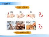 3.2.1.2 血液循環(huán)系統(tǒng)的組成——血管 課件 生物冀少版（2024）七年級(jí)下冊（2024）第三單元第二章