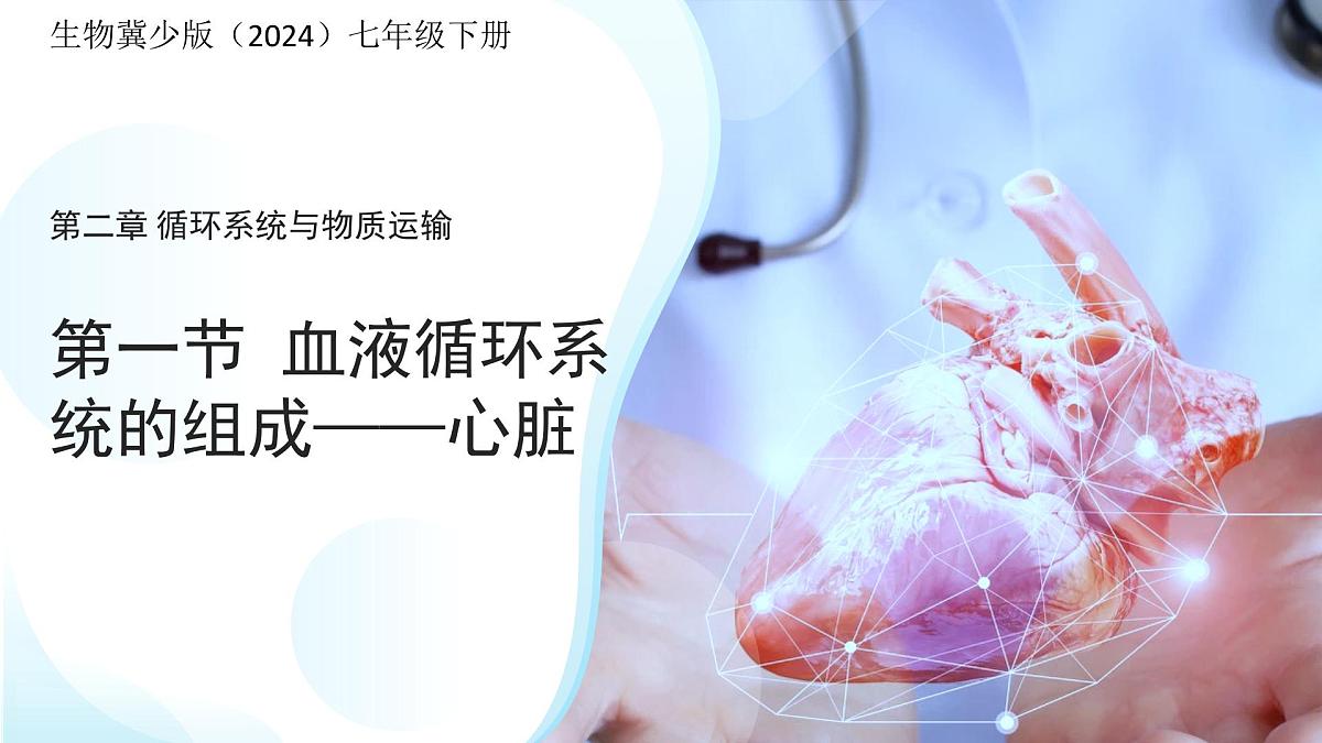 3.2.1.3血液循环系统的组成——心脏 课件 生物冀少版（2024）七年级下册（2024）第三单元第二章第1页