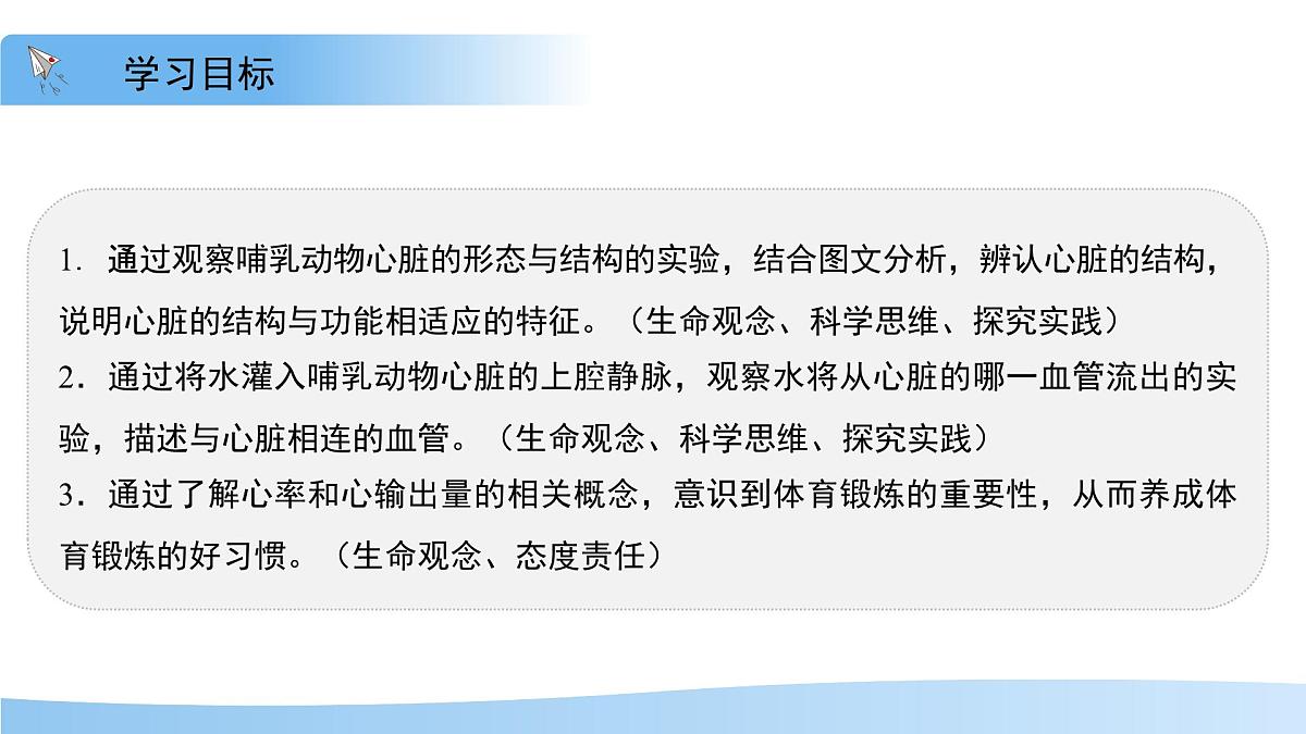 3.2.1.3血液循环系统的组成——心脏 课件 生物冀少版（2024）七年级下册（2024）第三单元第二章第2页
