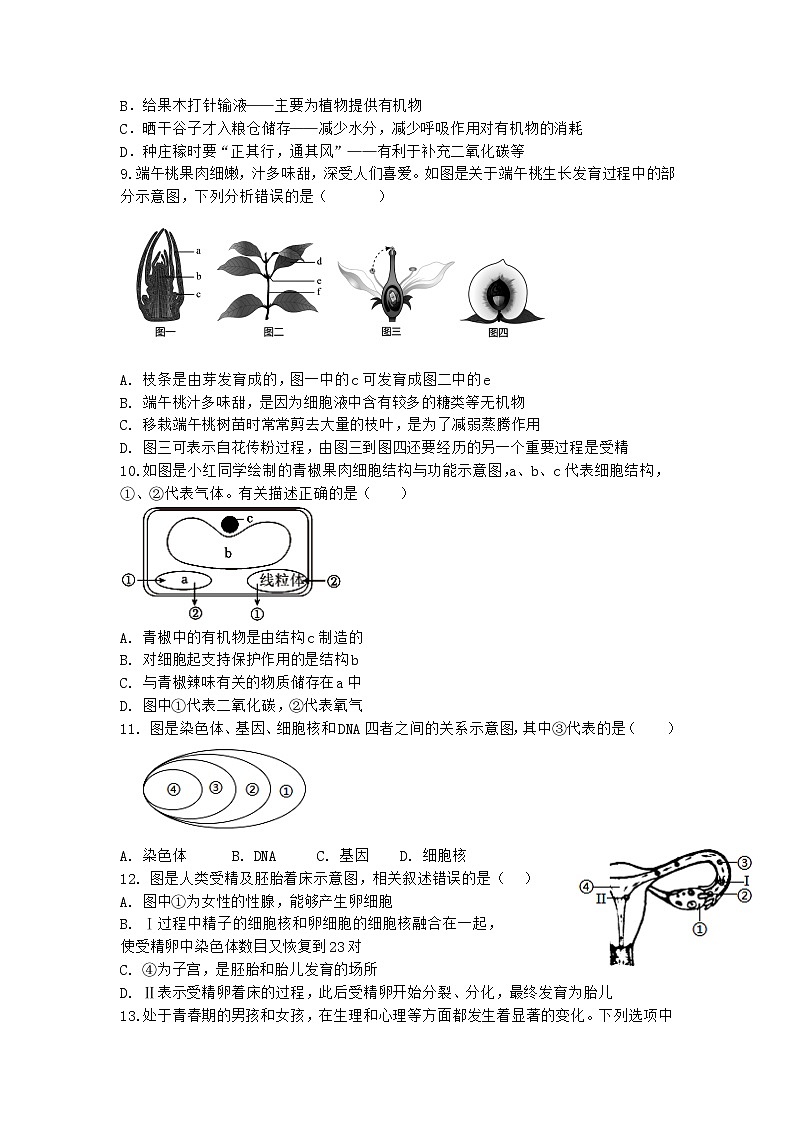 四川省内江市第一中学2023-2024学年八年级下学期期中考试生物试题第2页