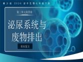 3.4 泌尿系統(tǒng)與廢物排出 章末復(fù)習(xí)課件 生物冀少版（2024）七年級下冊第三單元第四章