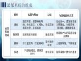 3.4 泌尿系統(tǒng)與廢物排出 章末復(fù)習(xí)課件 生物冀少版（2024）七年級下冊第三單元第四章