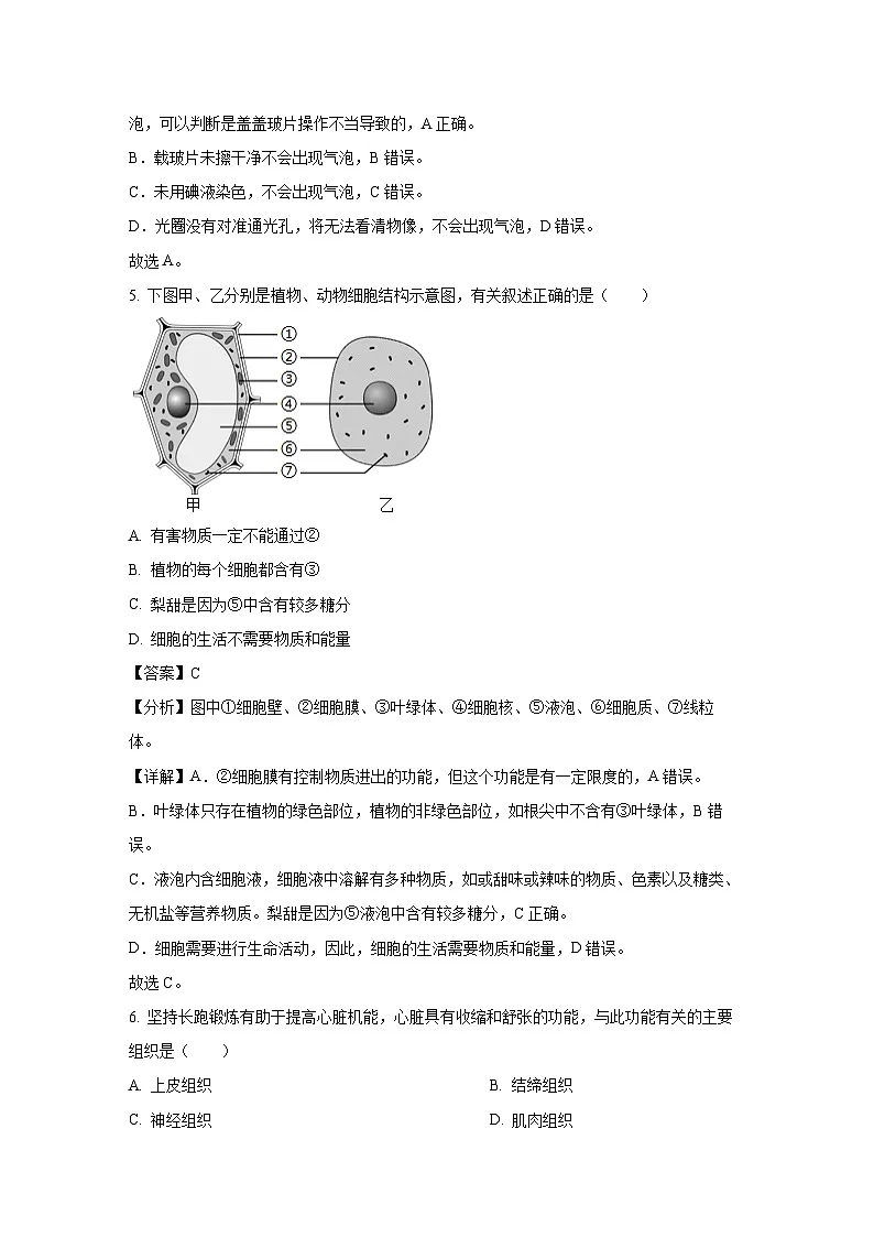 陕西省西安市高陵区2024-2025学年七年级下学期开学考试生物试卷（解析版）第3页