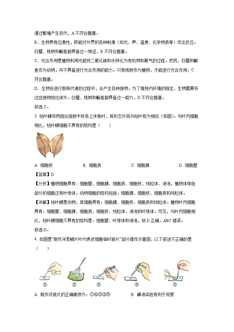 辽宁省盘锦市大洼区2024-2025学年七年级上学期期末生物试卷（解析版）第2页