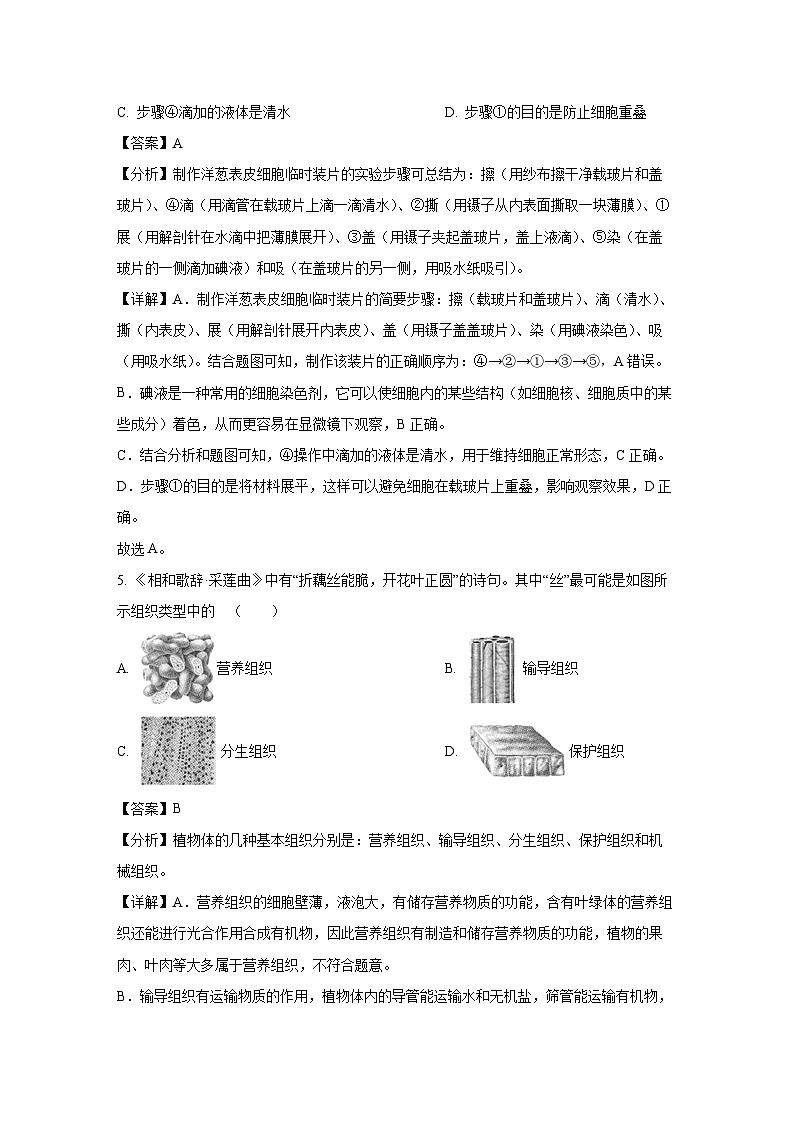辽宁省盘锦市大洼区2024-2025学年七年级上学期期末生物试卷（解析版）第3页